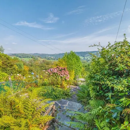 Sun With Stunning Views,