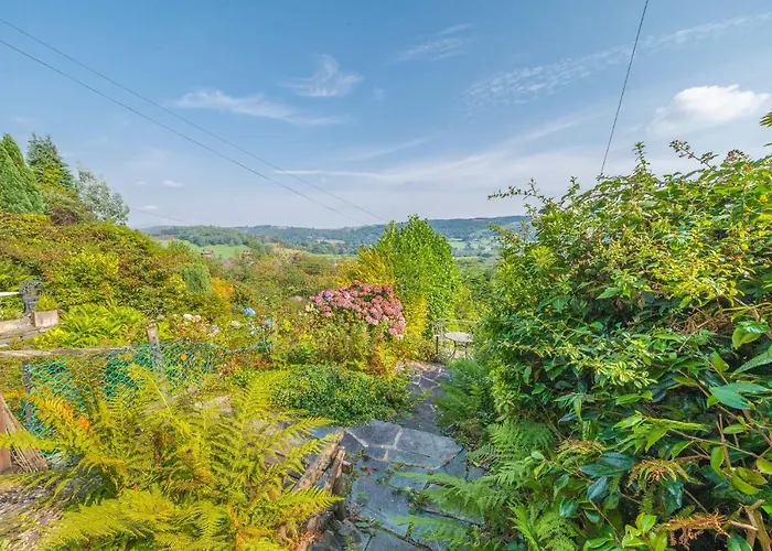 Sun With Stunning Views,